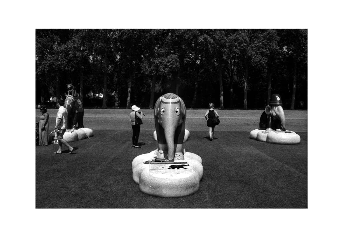 ‘Elephant Parade’ finale / Royal Hospital Chelsea SW3 / June 2010