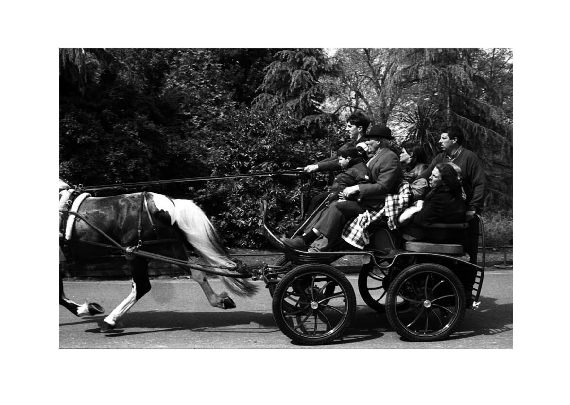 Harness Horse Parade / Battersea Park SW11 / April 2000