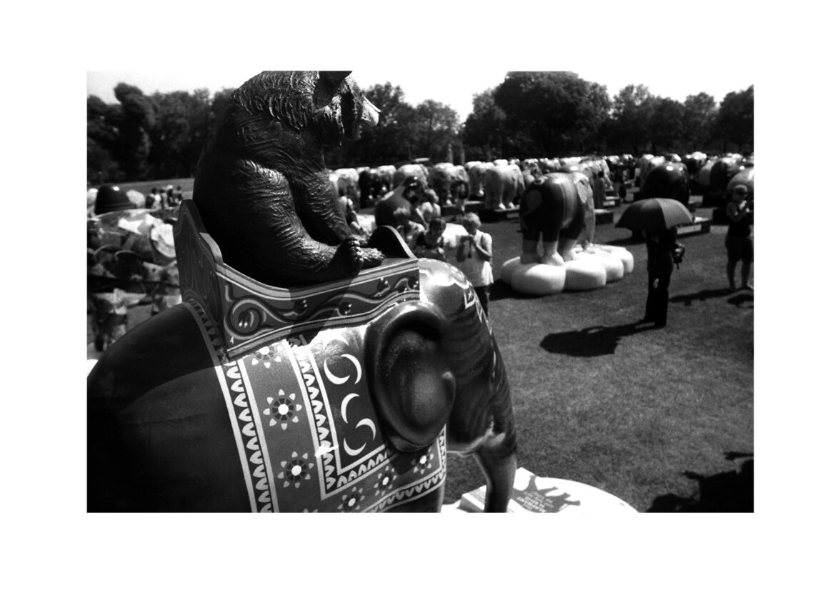 ‘Elephant Parade’ finale / Royal Hospital Chelsea SW3 / June 2010