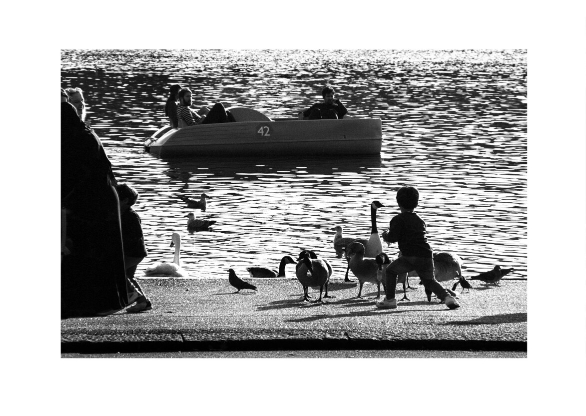 Leisure rowing / Serpentine W2 / October 2019