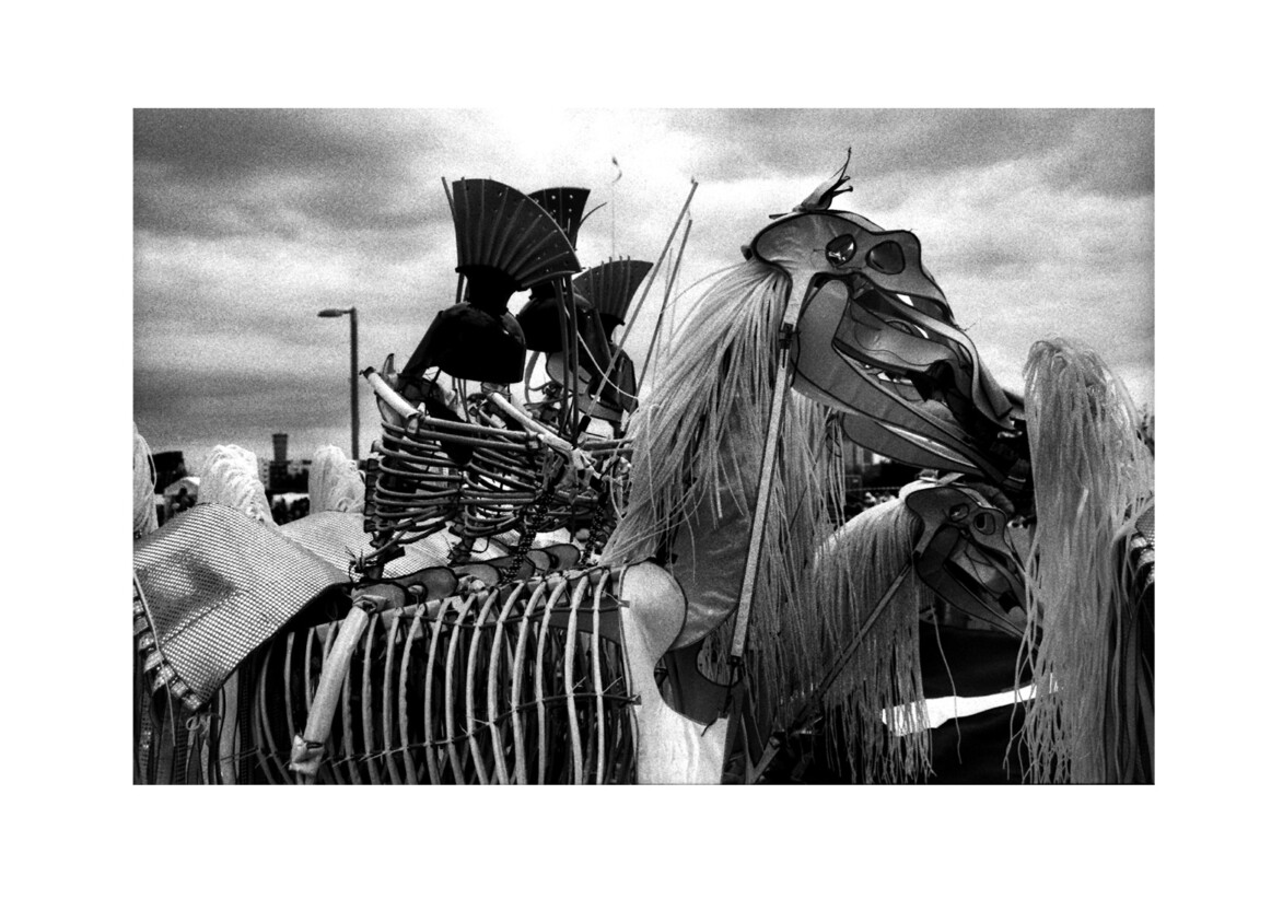 Great British Carnival / Queen Elizabeth Olympic Park E20 / July 2014