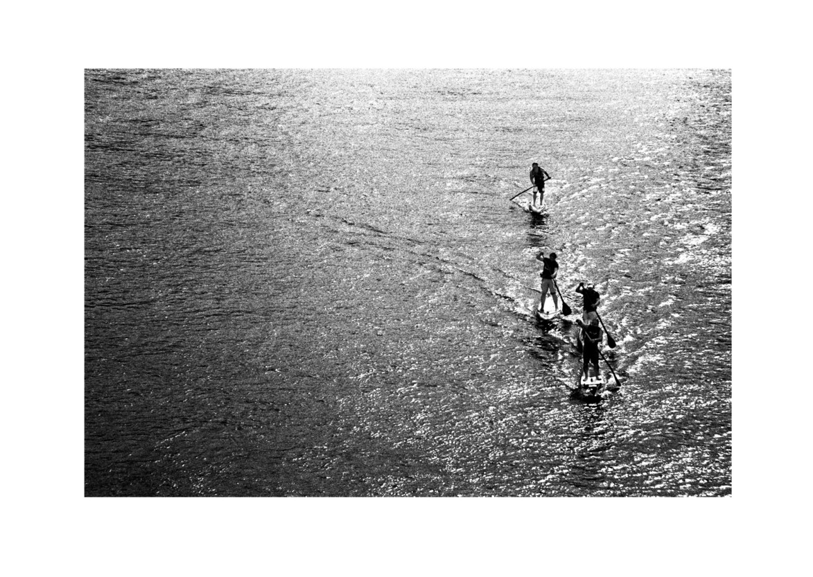 Paddleboard race / from Lambeth Bridge SE1 / September 2017