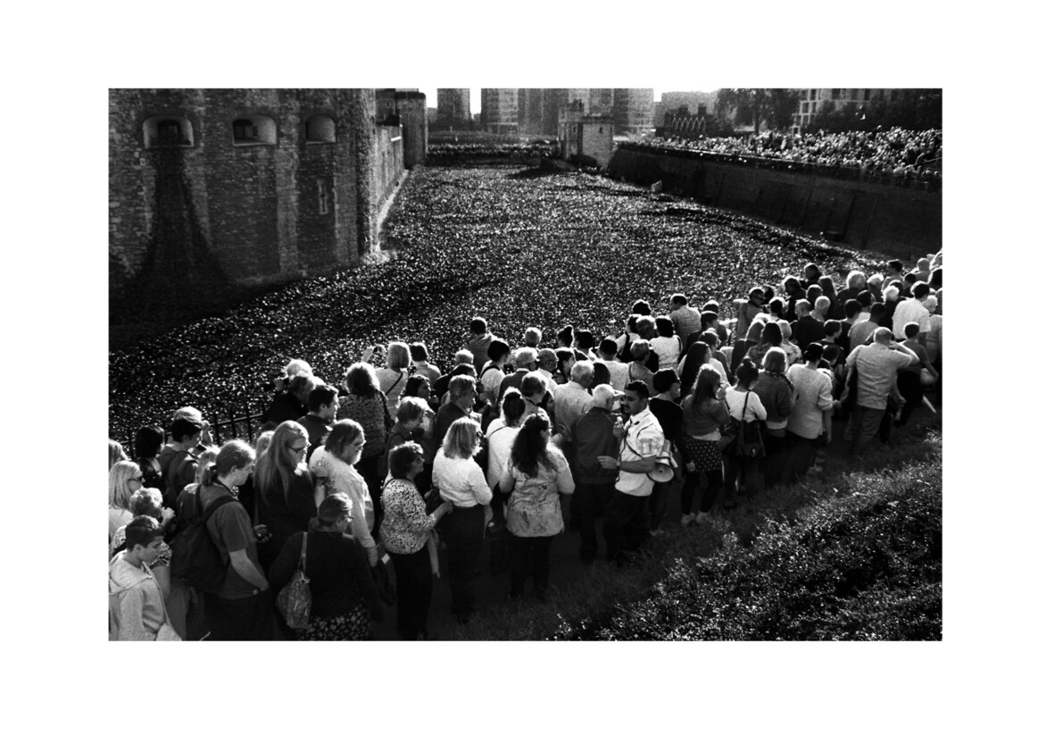 Paul Cummins’ ‘Blood Swept Lands and Seas of Red’ / Tower Hill EC3 / October 2014
