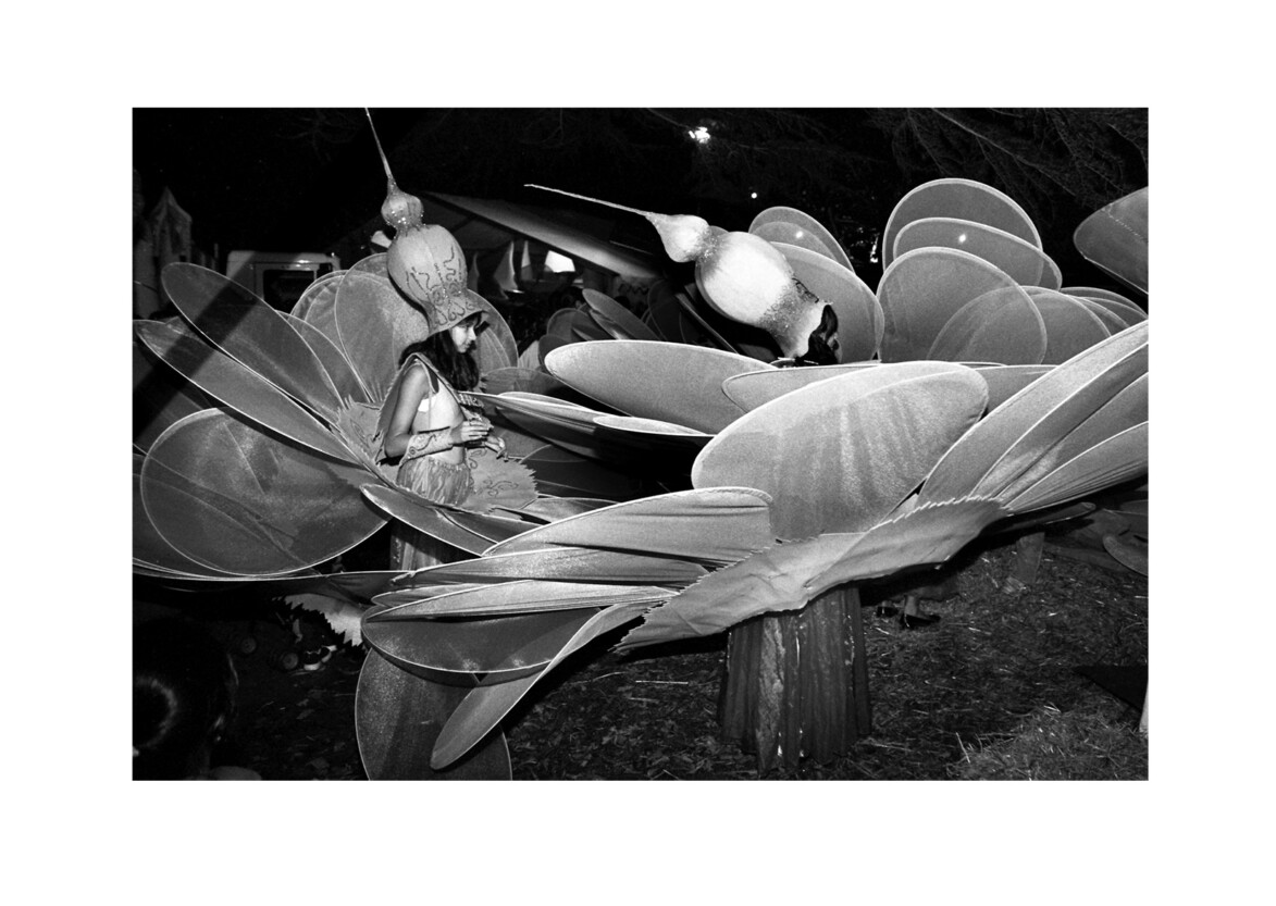Diwali procession / Harrow Road, Wembley HA0 / October 2004