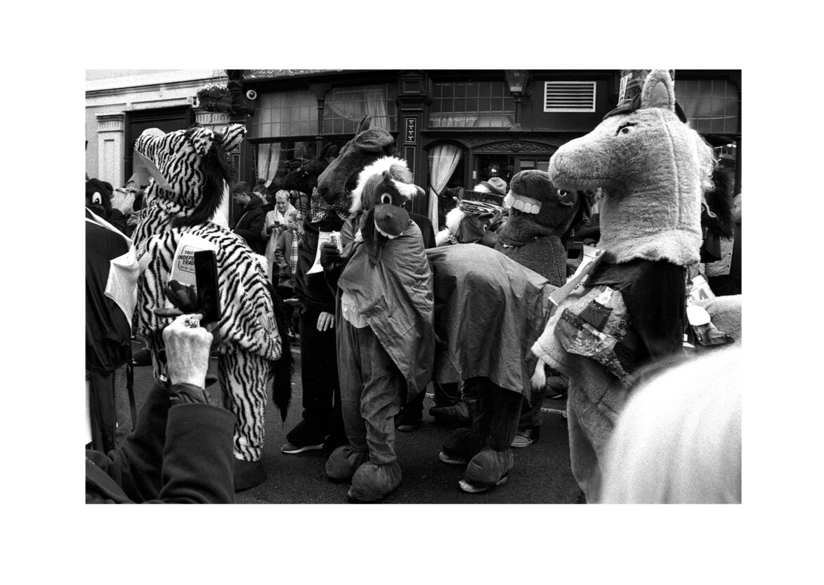 Pantomime Horse Race / Nevada Street SE10 / December 2018